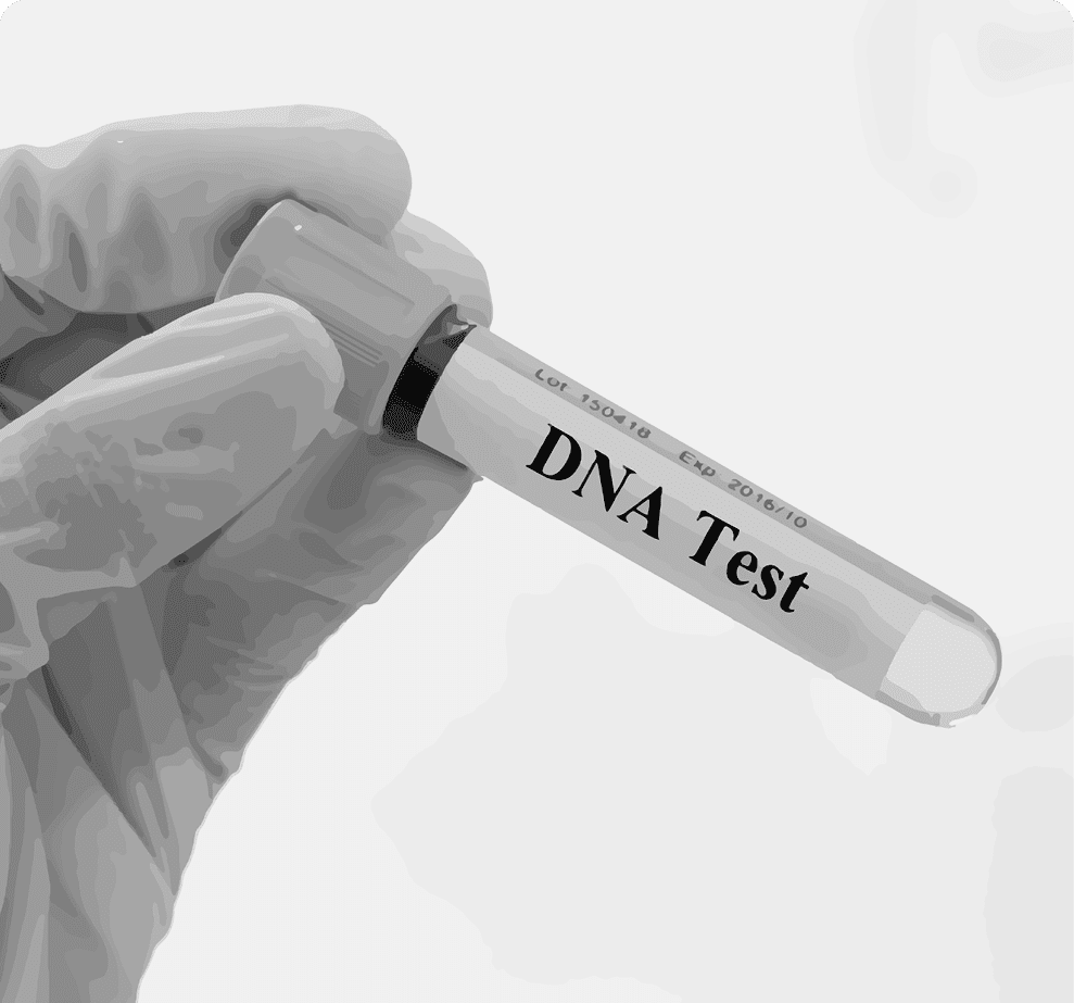 DNA/PATERNITY TEST 3rd Floor Lister Medical Centre DNA/PATERNITY TEST 3rd Floor Lister Medical Centre